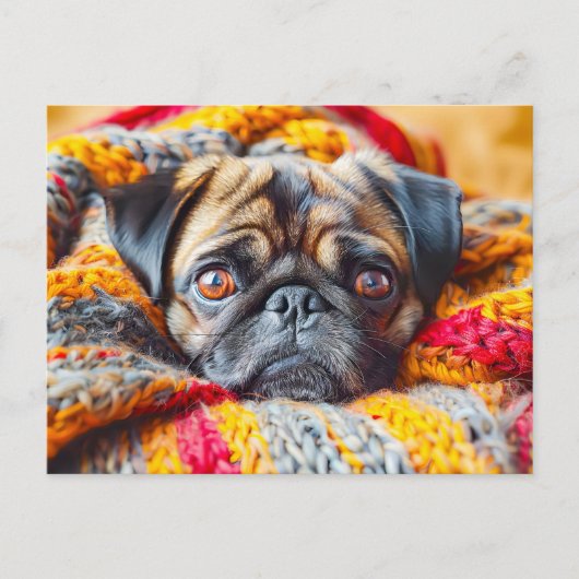 Cozy Pug Wrapped in Knitted Blanket Briefkaart (Voorkant)
