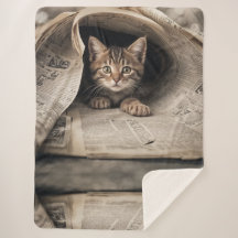 Cozy Soft Sherpa Blanket