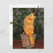 Cozy Sunflower Cat Briefkaart (Voorkant / Achterkant)