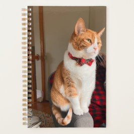 Cozy Tabby Cat Planner 8.5x11"