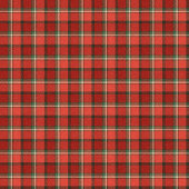 Cozy Tartan Curtain Traditional Holiday Gift Look Douchegordijn