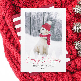 Cozy & Warm Family & Pet Photo Winter Pet & Scarf Feestdagenkaart