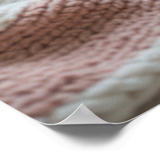 Cozy Winter Morning – Pastel Blanket and Hot Cocoa Poster (Hoek)