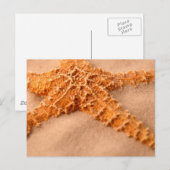 cp-ion zand cl-up briefkaart (Voorkant / Achterkant)