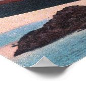 CPR SS Princess May WreckSentinel Island, AK Poster (Hoek)