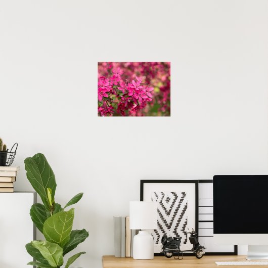 Crab Apple Blooms Poster (Thuiskantoor)
