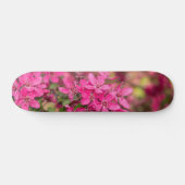 Crab Apple Blooms Skateboard (Horizontaal)