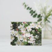 Crab Apple Blossom is een Tuurlijk teken van de Le Briefkaart (Staand voorkant)