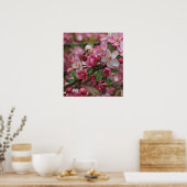 Crab Apple Blossom Poster (Keuken)