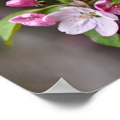 Crab Apple Flowers Poster (Hoek)