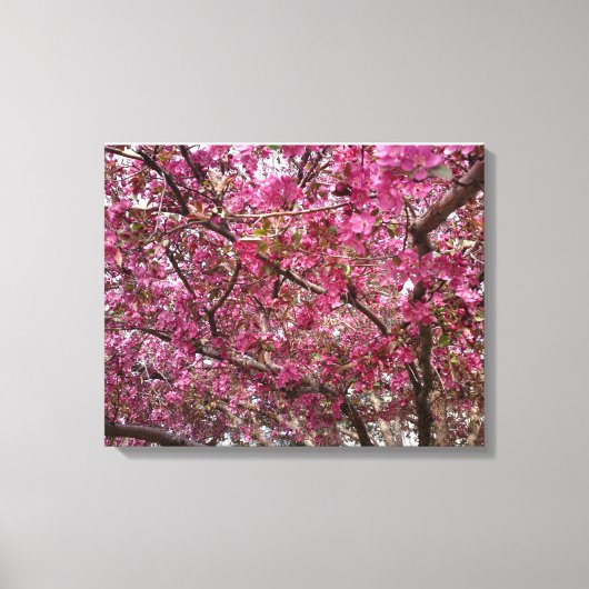 Crab Apple Grove Canvas Afdruk (Voorkant)