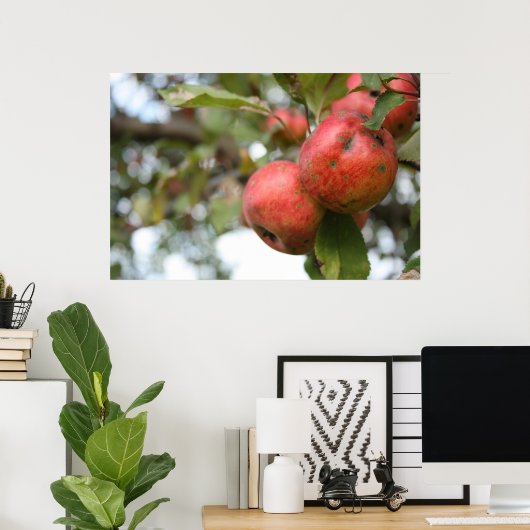 Crab Apple op Tree Poster (Thuiskantoor)
