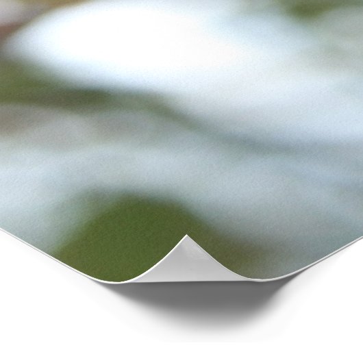 Crab Apple op Tree Poster (Hoek)