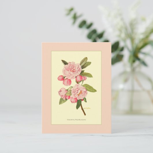 Crab Apple Tree Blossom Briefkaart (Staand voorkant)