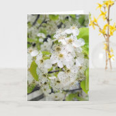 Crab Apple Tree Blossom Sympathie Kaart (Gele Bloem)