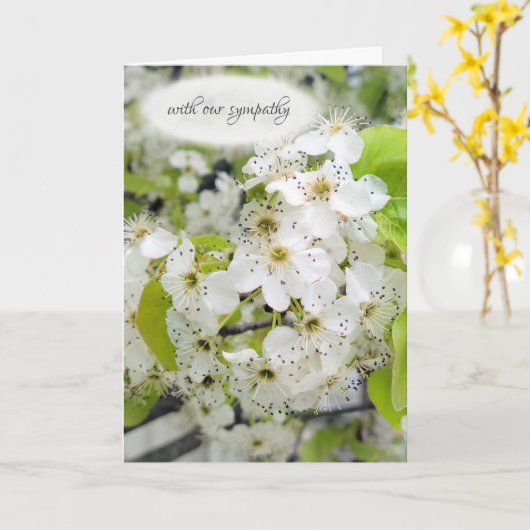 Crab Apple Tree Blossom Sympathie Kaart (Gele Bloem)