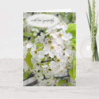 Crab Apple Tree Blossom Sympathie