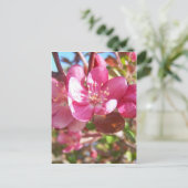 Crab Apple Tree in Bloom Briefkaart (Staand voorkant)