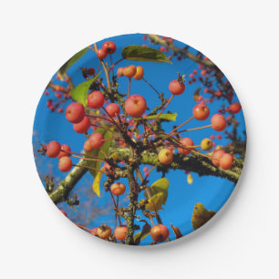 Crab Apples and Blue Sky Papieren Bordje