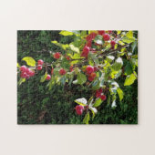 Crab Apples Legpuzzel (Horizontaal)