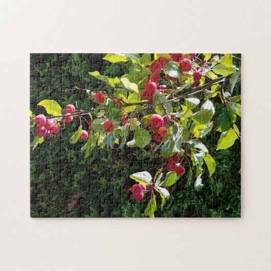 Crab Apples Legpuzzel (Horizontaal)