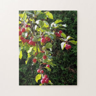 Crab Apples Legpuzzel