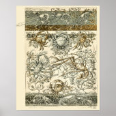 Crab Art Nouveau Design Marine Ocean Life Poster (Voorkant)