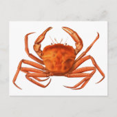Crab Briefkaart - Antiek wetenschappelijke illustr (Voorkant)