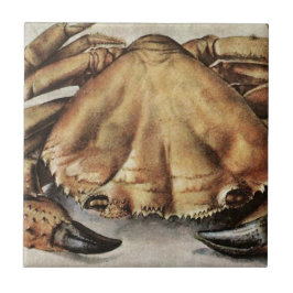 Crab (Creature Under the Sea) (by Albrecht Durer) Tegeltje