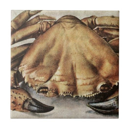 Crab (Creature Under the Sea) (by Albrecht Durer) Tegeltje (Voorkant)