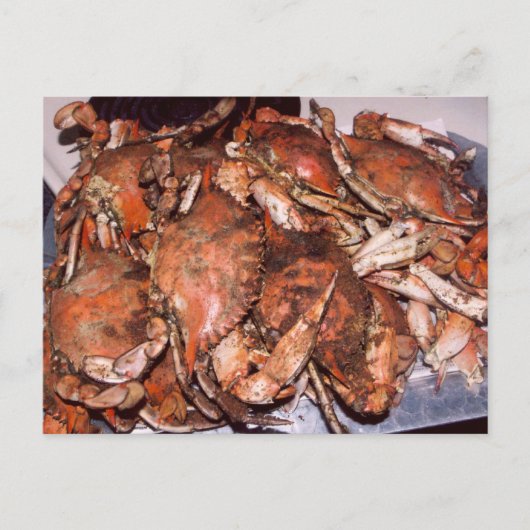 Crab Feast Briefkaart (Voorkant)