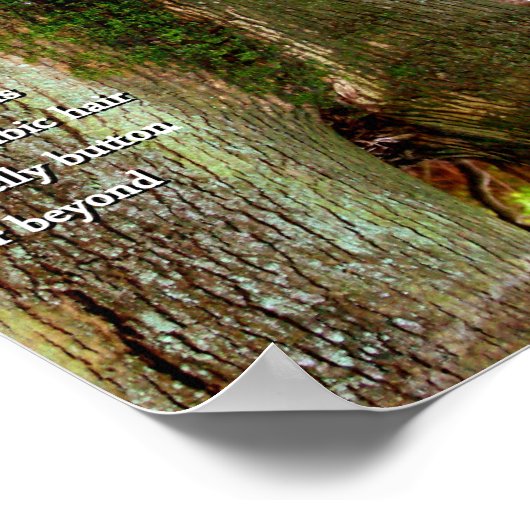 Crab Ladder Poster (Hoek)