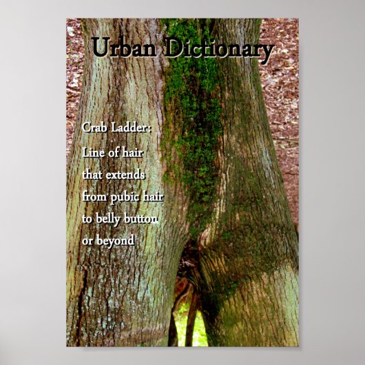 Crab Ladder Poster (Voorkant)