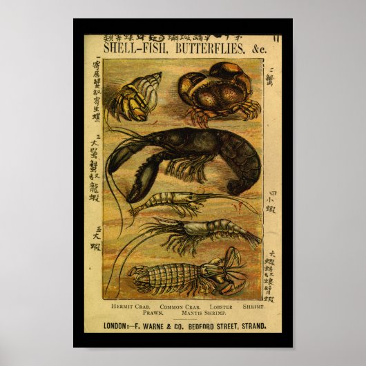  Crab Lobster Natural History Print (Voorkant)