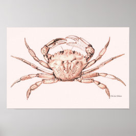Crab Poster ~ Groene krab