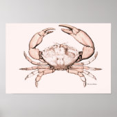 Crab Poster ~ Stone Crab (Voorkant)