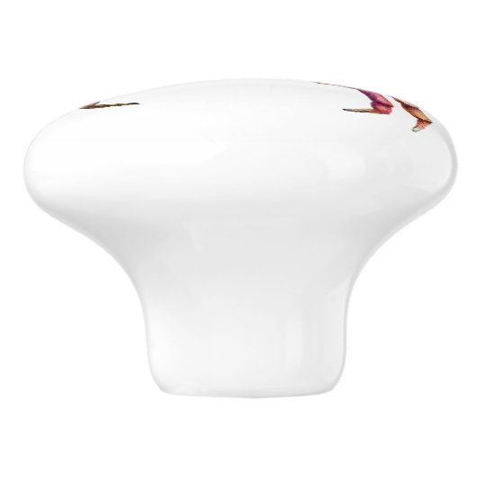 Crab Rainbow Keramische Knop (Zijkant)