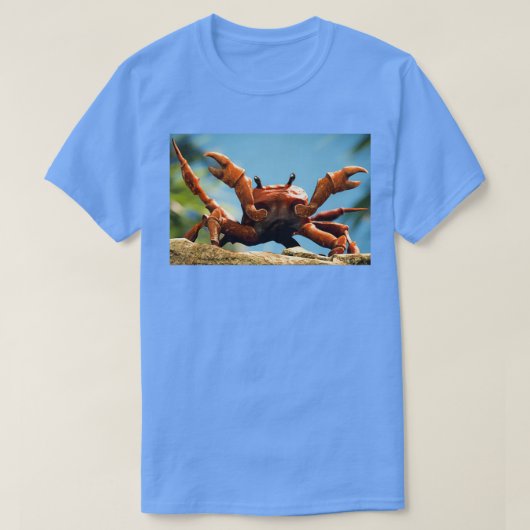 Crab Rave T-shirt (Design voorkant)