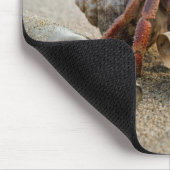 Crab Reading a Letter on a Beach Muismat (Hoek)