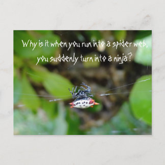 Crab Spider Briefkaart/Funny Ninja Quote Briefkaart