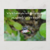 Crab Spider Briefkaart/Funny Ninja Quote Briefkaart (Voorkant)