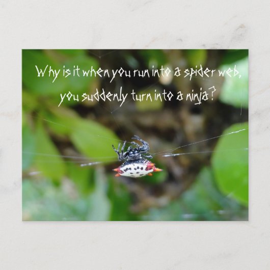 Crab Spider Briefkaart/Funny Ninja Quote Briefkaart (Voorkant)