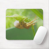 Crab Spider Thomisid Mousepad Muismat (Met muis)