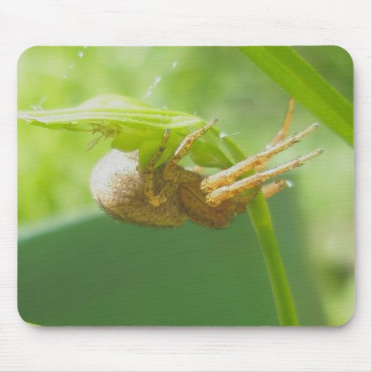 Crab Spider Thomisid Mousepad Muismat (Voorkant)
