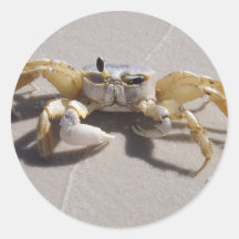 Crab sticker