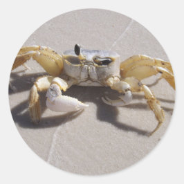 Crab sticker