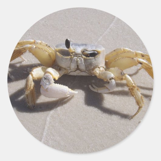 Crab sticker (Voorkant)