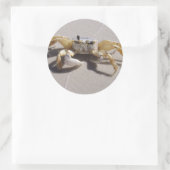 Crab sticker (Tas)