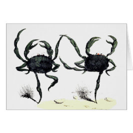 Crab tango danst schattige  zomerkrabben