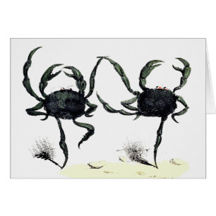 Crab tango danst schattige  zomerkrabben
